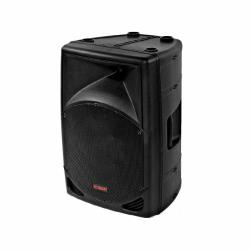 UNIVERSAL ALFA 10  10 250W 2YOLLU FULL RANGE HOPARLÖR.